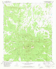 Alegres Mountain New Mexico Historical topographic map, 1:24000 scale, 7.5 X 7.5 Minute, Year 1981