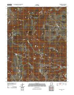 Alps Mesa New Mexico Historical topographic map, 1:24000 scale, 7.5 X 7.5 Minute, Year 2010
