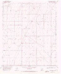 Alston Ranch New Mexico Historical topographic map, 1:24000 scale, 7.5 X 7.5 Minute, Year 1970