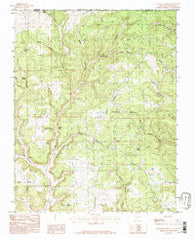 Anastacio Spring New Mexico Historical topographic map, 1:24000 scale, 7.5 X 7.5 Minute, Year 1985