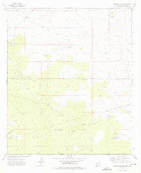 Andrews Place New Mexico Historical topographic map, 1:24000 scale, 7.5 X 7.5 Minute, Year 1973