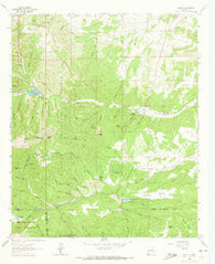 Angus New Mexico Historical topographic map, 1:24000 scale, 7.5 X 7.5 Minute, Year 1963