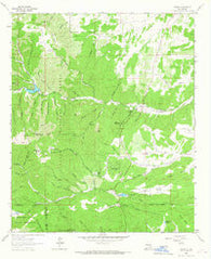 Angus New Mexico Historical topographic map, 1:24000 scale, 7.5 X 7.5 Minute, Year 1963