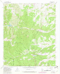 Angus New Mexico Historical topographic map, 1:24000 scale, 7.5 X 7.5 Minute, Year 1963