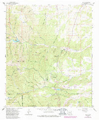 Angus New Mexico Historical topographic map, 1:24000 scale, 7.5 X 7.5 Minute, Year 1963