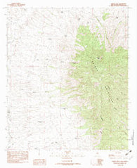 Animas Peak New Mexico Historical topographic map, 1:24000 scale, 7.5 X 7.5 Minute, Year 1982