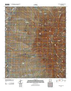 Animas Peak New Mexico Historical topographic map, 1:24000 scale, 7.5 X 7.5 Minute, Year 2010