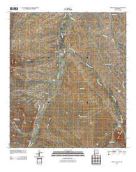 Animas Peak NE New Mexico Historical topographic map, 1:24000 scale, 7.5 X 7.5 Minute, Year 2010