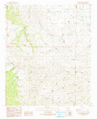 Antelope Ridge New Mexico Historical topographic map, 1:24000 scale, 7.5 X 7.5 Minute, Year 1990