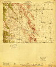 Antelope Wells New Mexico Historical topographic map, 1:62500 scale, 15 X 15 Minute, Year 1919