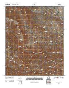 Antelope Ridge New Mexico Historical topographic map, 1:24000 scale, 7.5 X 7.5 Minute, Year 2010