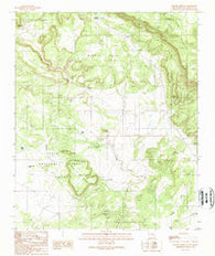 Apache Gap New Mexico Historical topographic map, 1:24000 scale, 7.5 X 7.5 Minute, Year 1989