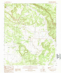 Apache Gap New Mexico Historical topographic map, 1:24000 scale, 7.5 X 7.5 Minute, Year 1989