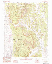 Apache Mesa New Mexico Historical topographic map, 1:24000 scale, 7.5 X 7.5 Minute, Year 1983