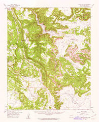 Apache Springs New Mexico Historical topographic map, 1:62500 scale, 15 X 15 Minute, Year 1960