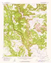 Apache Springs New Mexico Historical topographic map, 1:62500 scale, 15 X 15 Minute, Year 1960