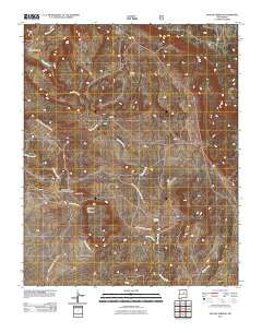 Apache Springs New Mexico Historical topographic map, 1:24000 scale, 7.5 X 7.5 Minute, Year 2011