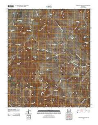 Applegate Mountain New Mexico Historical topographic map, 1:24000 scale, 7.5 X 7.5 Minute, Year 2010