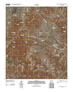 Applegate Mountain New Mexico Historical topographic map, 1:24000 scale, 7.5 X 7.5 Minute, Year 2010
