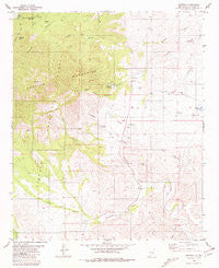 Arabela New Mexico Historical topographic map, 1:24000 scale, 7.5 X 7.5 Minute, Year 1981