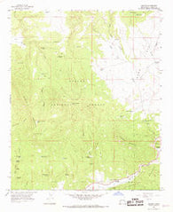 Aragon New Mexico Historical topographic map, 1:24000 scale, 7.5 X 7.5 Minute, Year 1965