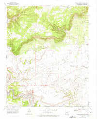 Arroyo Alamocito New Mexico Historical topographic map, 1:24000 scale, 7.5 X 7.5 Minute, Year 1972