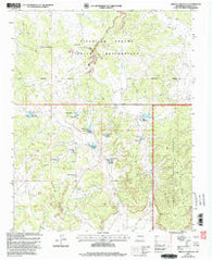 Arroyo Chijuillita New Mexico Historical topographic map, 1:24000 scale, 7.5 X 7.5 Minute, Year 2002
