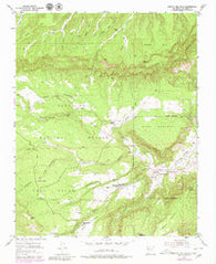 Arroyo Del Agua New Mexico Historical topographic map, 1:24000 scale, 7.5 X 7.5 Minute, Year 1953