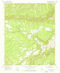 Arroyo Del Agua New Mexico Historical topographic map, 1:24000 scale, 7.5 X 7.5 Minute, Year 1953