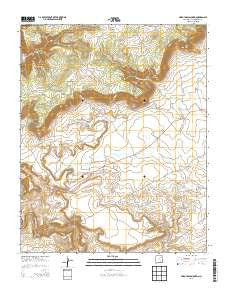 Arroyo Alamocito New Mexico Historical topographic map, 1:24000 scale, 7.5 X 7.5 Minute, Year 2013