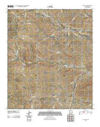 B T Ranch New Mexico Historical topographic map, 1:24000 scale, 7.5 X 7.5 Minute, Year 2010