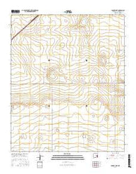 Badger Lake New Mexico Current topographic map, 1:24000 scale, 7.5 X 7.5 Minute, Year 2017