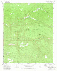 Baily Points New Mexico Historical topographic map, 1:24000 scale, 7.5 X 7.5 Minute, Year 1981