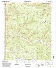 Bancos Mesa New Mexico Historical topographic map, 1:24000 scale, 7.5 X 7.5 Minute, Year 1995