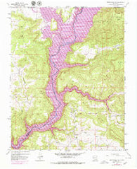 Bancos Mesa NW New Mexico Historical topographic map, 1:24000 scale, 7.5 X 7.5 Minute, Year 1954