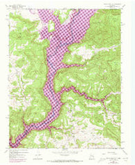 Bancos Mesa NW New Mexico Historical topographic map, 1:24000 scale, 7.5 X 7.5 Minute, Year 1954