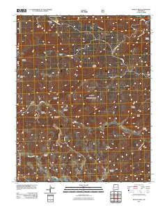 Bancos Mesa New Mexico Historical topographic map, 1:24000 scale, 7.5 X 7.5 Minute, Year 2011