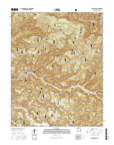 Bancos Mesa New Mexico Current topographic map, 1:24000 scale, 7.5 X 7.5 Minute, Year 2017