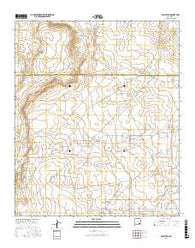 Basin Well New Mexico Current topographic map, 1:24000 scale, 7.5 X 7.5 Minute, Year 2017