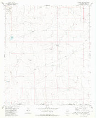 Bassett Lake New Mexico Historical topographic map, 1:24000 scale, 7.5 X 7.5 Minute, Year 1980