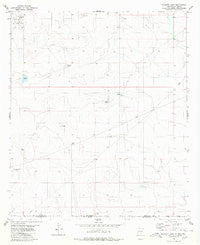 Bassett Lake New Mexico Historical topographic map, 1:24000 scale, 7.5 X 7.5 Minute, Year 1980