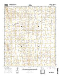 Bassett Lake New Mexico Historical topographic map, 1:24000 scale, 7.5 X 7.5 Minute, Year 2013