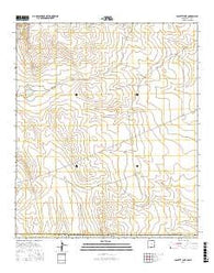 Bassett Lake New Mexico Current topographic map, 1:24000 scale, 7.5 X 7.5 Minute, Year 2017