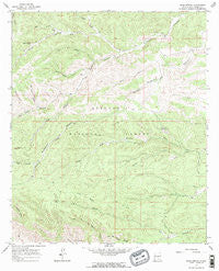 Bear Spring New Mexico Historical topographic map, 1:24000 scale, 7.5 X 7.5 Minute, Year 1965