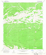 Bear Spring New Mexico Historical topographic map, 1:24000 scale, 7.5 X 7.5 Minute, Year 1965