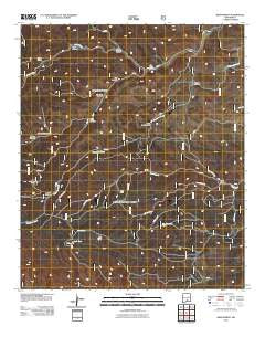 Bear Spring New Mexico Historical topographic map, 1:24000 scale, 7.5 X 7.5 Minute, Year 2011