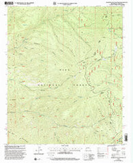 Bearwallow Mountain New Mexico Historical topographic map, 1:24000 scale, 7.5 X 7.5 Minute, Year 1999