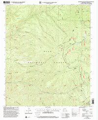 Bearwallow Mountain New Mexico Historical topographic map, 1:24000 scale, 7.5 X 7.5 Minute, Year 1999