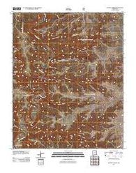 Beaver Canyon New Mexico Historical topographic map, 1:24000 scale, 7.5 X 7.5 Minute, Year 2011