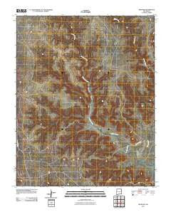 Beenham New Mexico Historical topographic map, 1:24000 scale, 7.5 X 7.5 Minute, Year 2010
